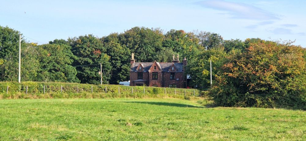 Farmhouse nestled in trees. Blue sky and green field.