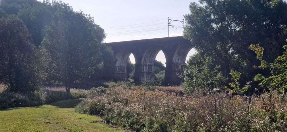 Railway Viaduct with trees on either side. 