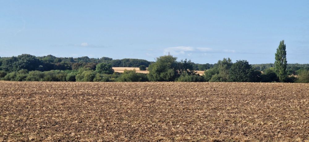 Farmers fields, trees and blue sky.