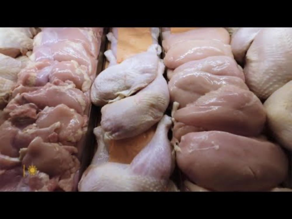 Maintaining the safety of our food