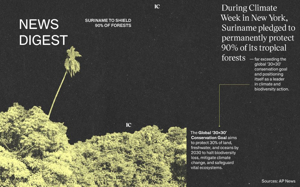 During Climate Week in New York, Suriname announced it will permanently protect 90% of its tropical forests – far exceeding the global ‘30×30’ conservation goal. 