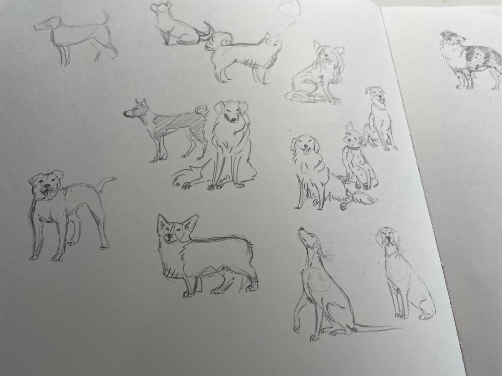 Small pencil sketches of a variety of dog breeds
