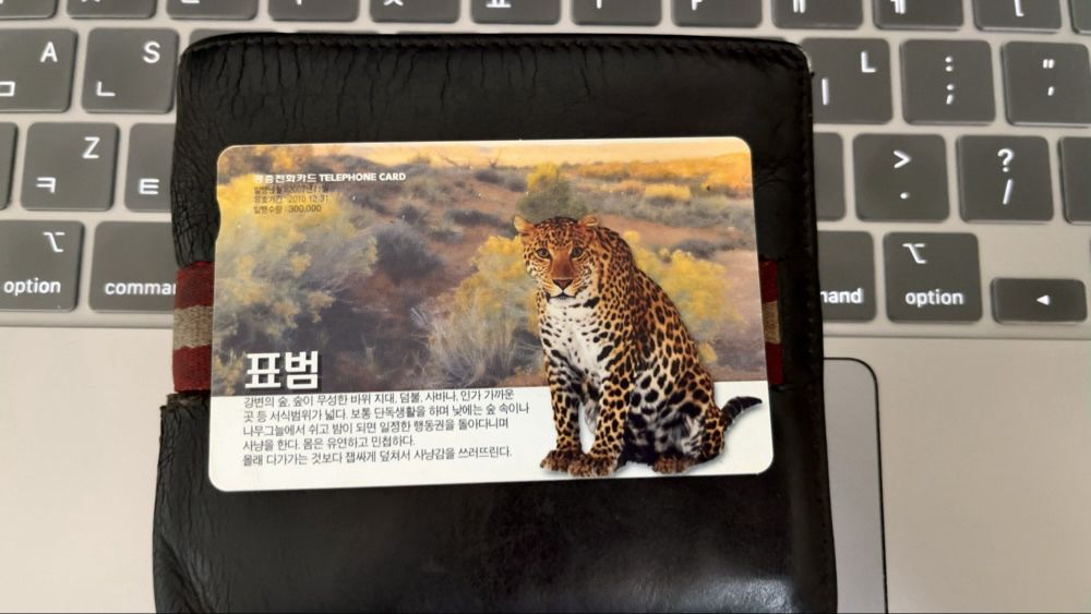3,100원 사용 가능하답니다. 