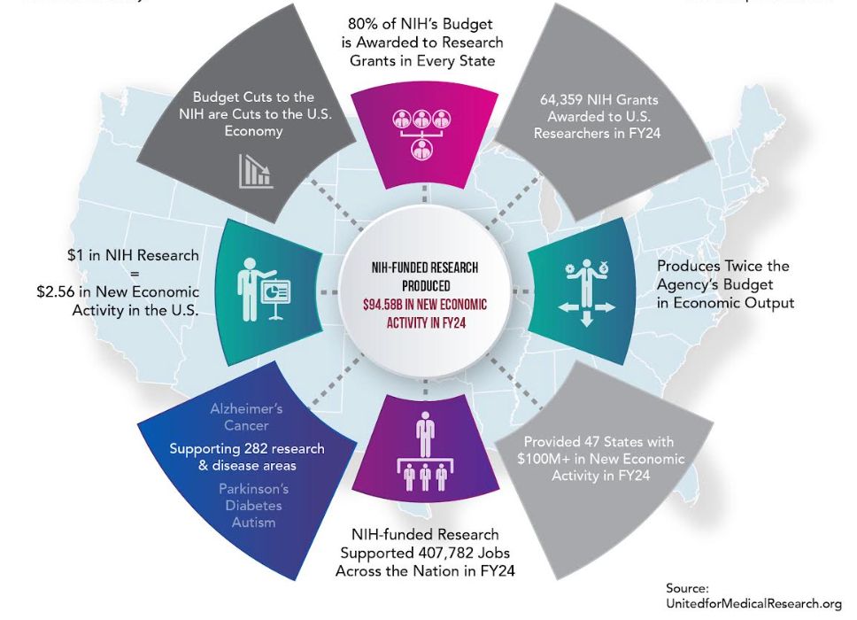 A fact sheet of NIH FY2024 economic impact.