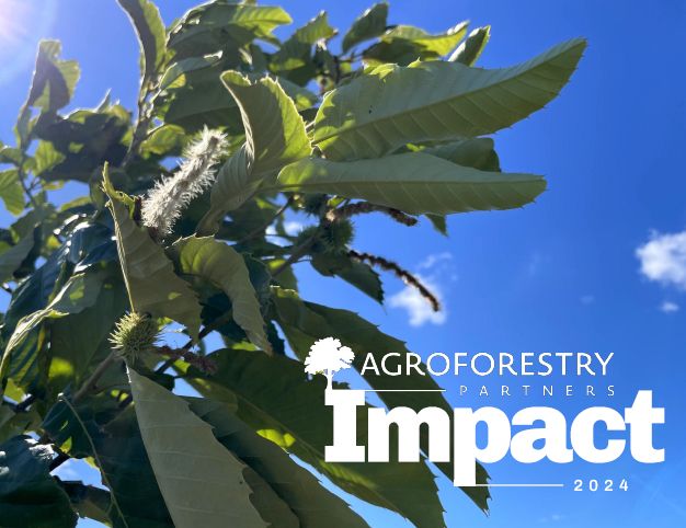 https://www.agroforestrypartners.com/impact
