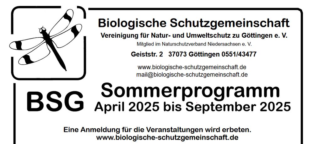 Header BSG-Sommerprogramm
