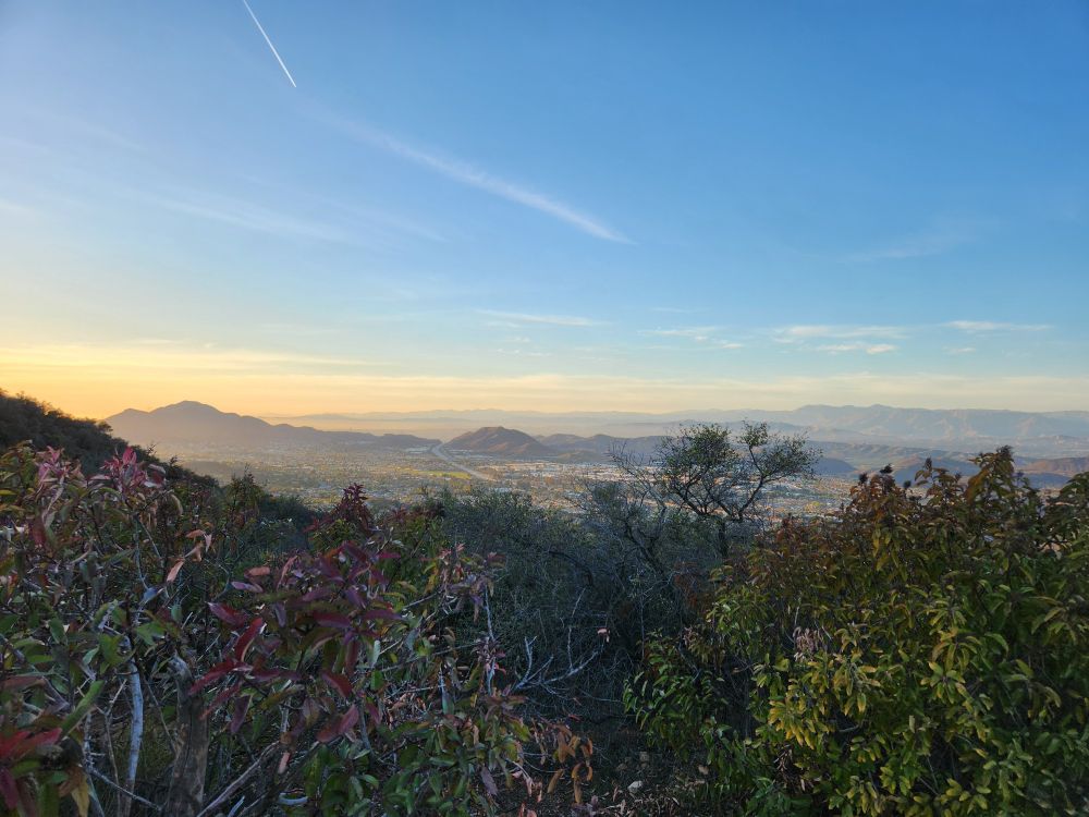 View of the mountains near sunset with  shrubs in the foreground