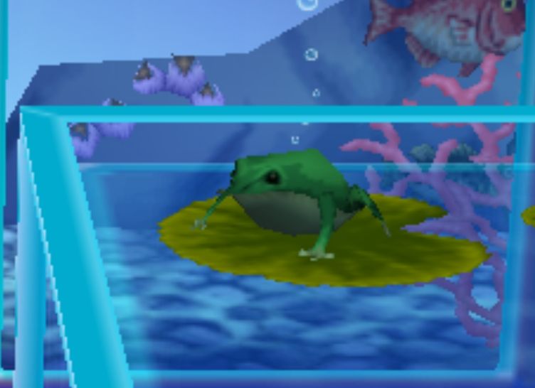 Screenshot of a frog on a Lilly pad from Animal Crossing on the GameCube