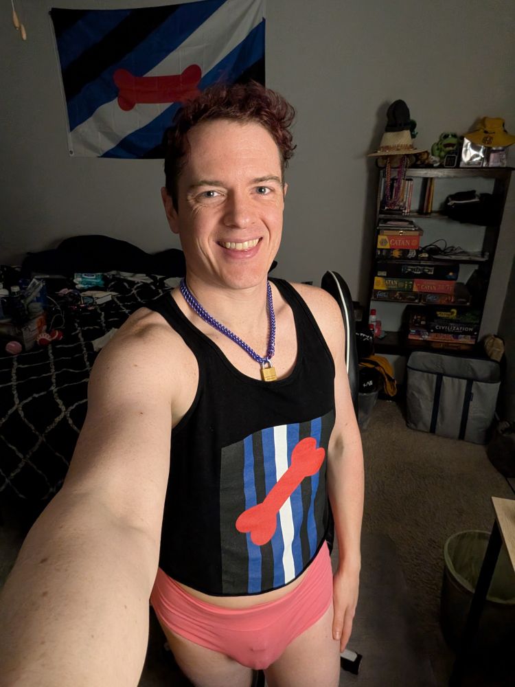 Smiling, burgundy-haired, fair-skinned femboy dressed in a purple chain collar with Master lock, cropped pup tank top, and pink panties with chastity cage imprint in their bedroom with pup flag on the wall and bookshelf filled with games and stuffies on top