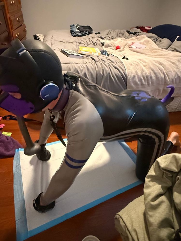 Side view, rubber pup on all fours over a pee pad
Neoprene black hood with purple trim, hypno headphones, long thin dildo hanging out of their mouth. Purple collar, medium grey rubber sleeves with royal blue double bands on biceps, black mitts. Black rubber torso and legs with double grey line down the side, royal blue paw print on lower back, purple pup plug tail
Bed with erotic material strewn about in background