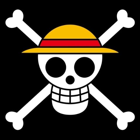 The Straw Hat Pirates jolly roger from One Piece