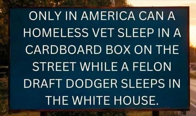 A meme with these words: Only in America can a homeless vet sleep in a cardboard box on the street while a felon draft dodger sleeps in the White House.