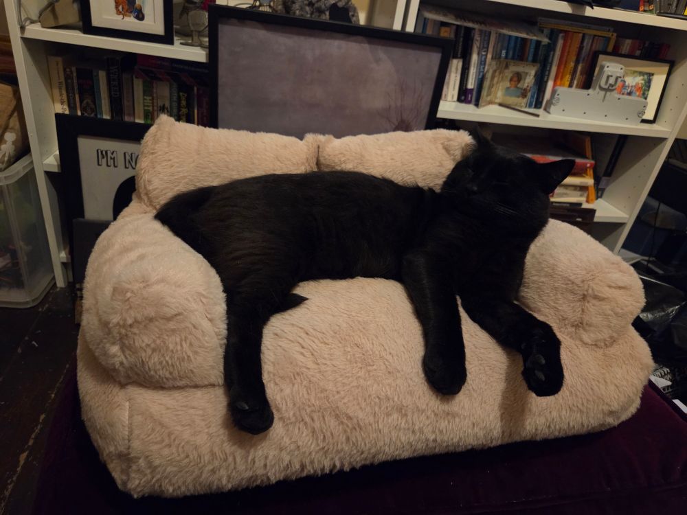 A black cat lounges on a cat bed shaped like a sofo.