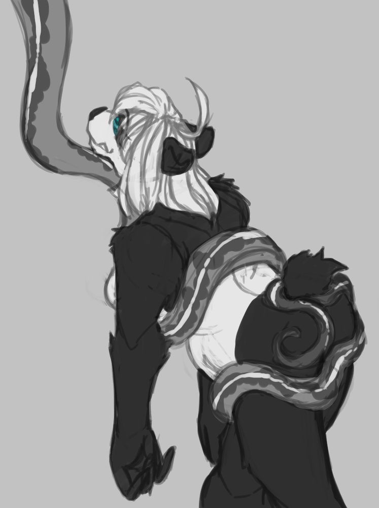 A monochrome sketch of an anthropomorphic female panda being coiled by a naga's snake tail. She is patterned black and white with white shoulder-length hair and bangs and wears no clothes, and the snake tail is darker with light-colored patches. The panda is seen from the back, being supported and led away by the snake tail. Her eyes have turquoise rings in them, indicating that she is being hypnotized by the out-of-sight naga.
