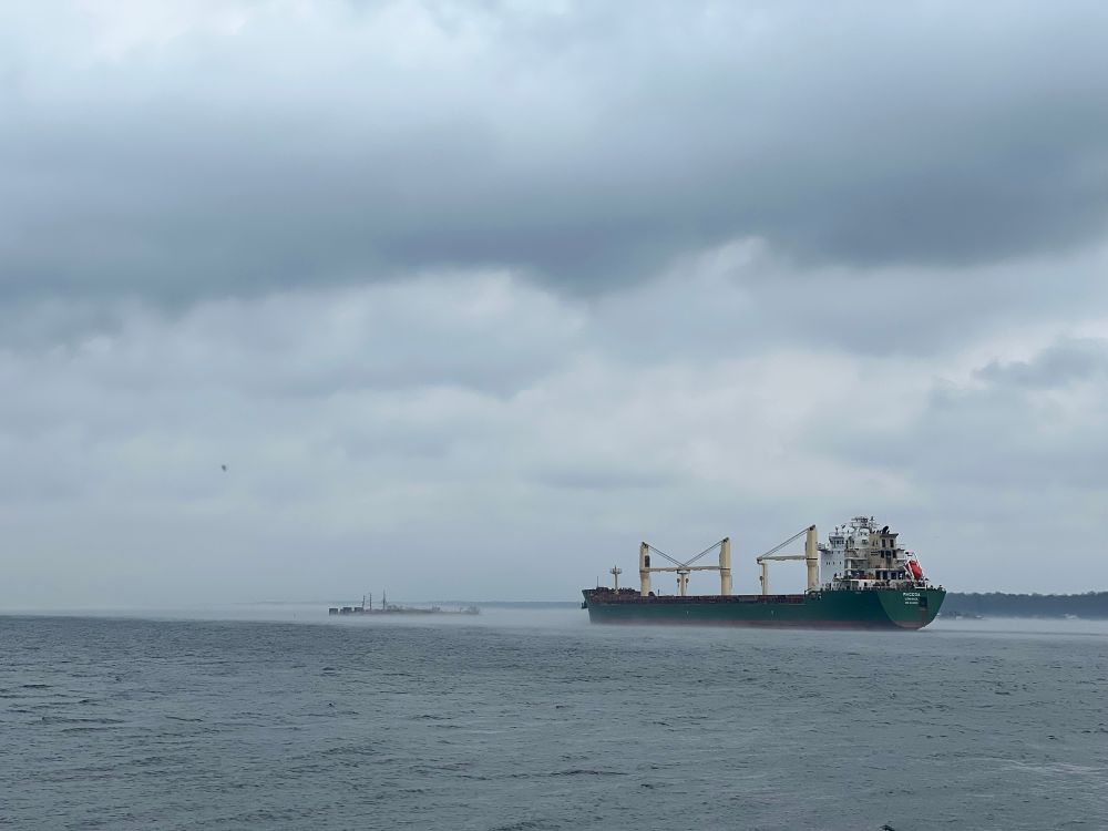 A large green cargo ship, the M/V Ragna, moves through a grey, mist-covered body of water under a heavily overcast sky. To the left in the distance, a small island is visible, covered with sparse, leafless or dead trees, creating a stark silhouette against the low-lying mist.