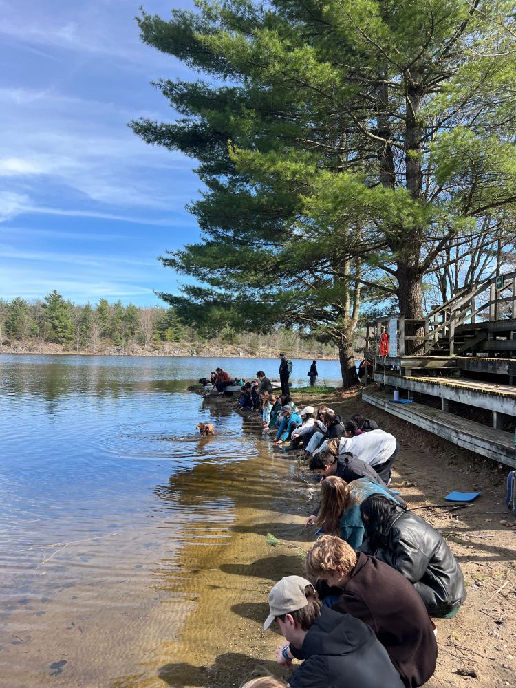 A group of students kneels along the edge of a clear, shallow lake under a blue sky, closely observing the water. They are gathered near a dock and shaded by tall pine trees, participating in an outdoor learning activity. A dog is seen swimming in the lake nearby.