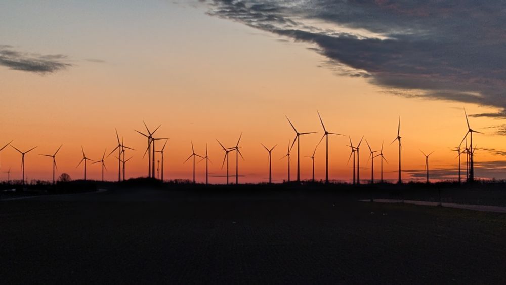 Silhouetten von unzähligen Windrädern vor dem dämmrigen Abendhimmel nach Sonnenuntergang.