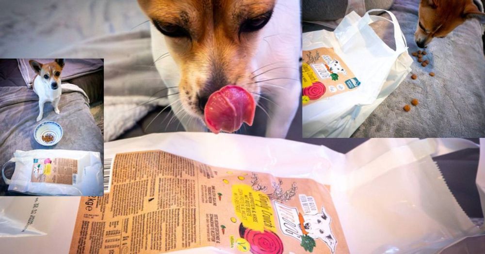 Simply Crunch VEGDOG – lest jetzt alles über das sensationelle vegane Hundefutter und testet es direkt!