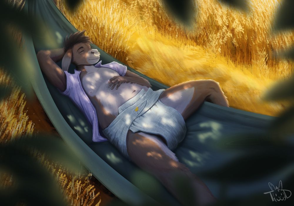 An anthro donkey laying on a hammock, enjoying the shade under a tree in the middle of a wheat field. He is wearing a pink, unbuttoned shirt, and a cloth diaper.

ALL CHARACTERS DEPICTED ARE OF AGE! (18 or older)