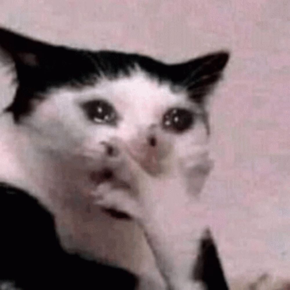 a black and white cat is crying and covering its face with its paws .