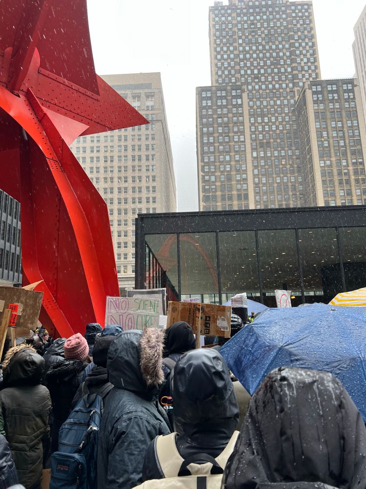 Photo of people in the snow/rain listening to speakers at the stand up for science rally in Chicago. 