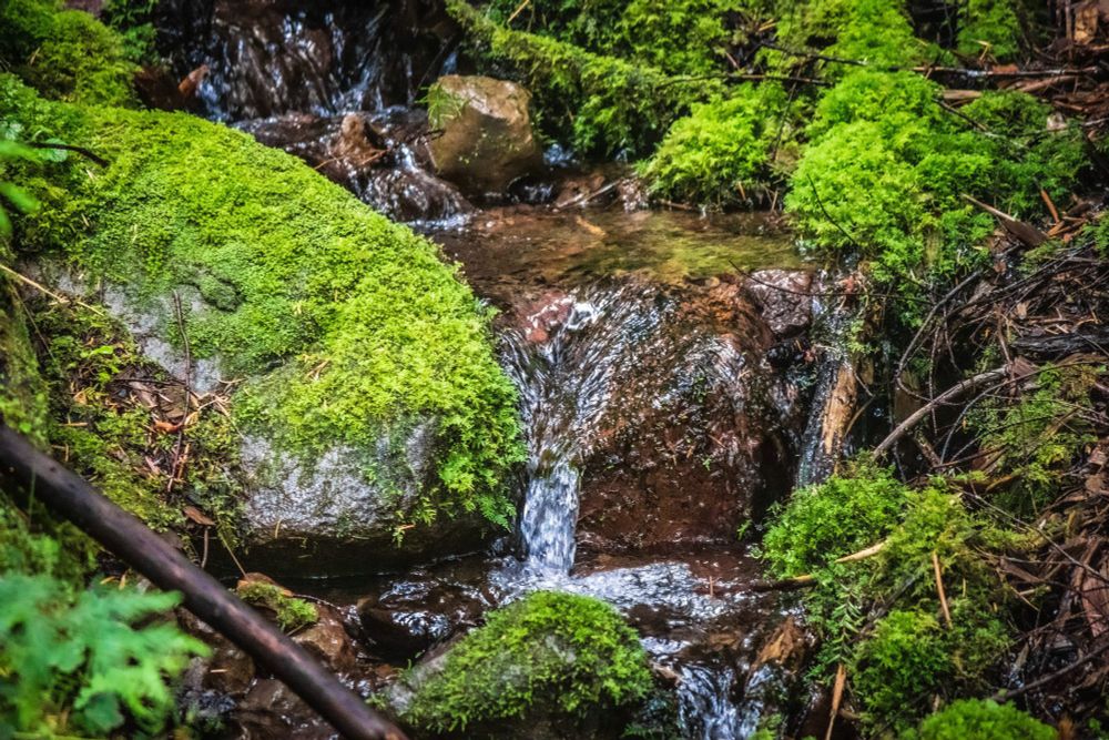 A flowing stream 