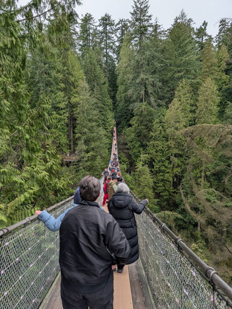 People walking across a very long suspension foot bridge into a wooded area, over a deep ravine.