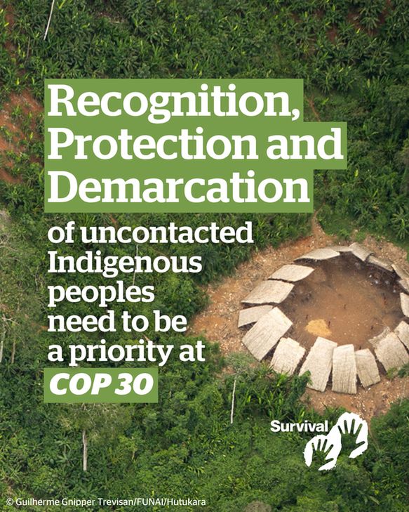 Recognition, protection and demarcation of uncontacted Indigenous peoples need to be a priority at COP 30.

Image from bird's eye view of the forest and a big communal house of uncontacted people © Guilherme Gnipper Trevisan/FUNAI/Hutukara