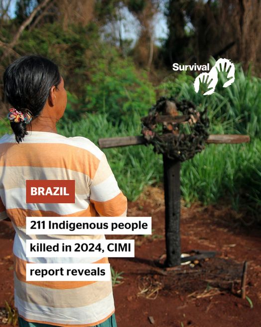 Brazil: 211 Indigenous people killed in 2024, CIMI report reveals.
