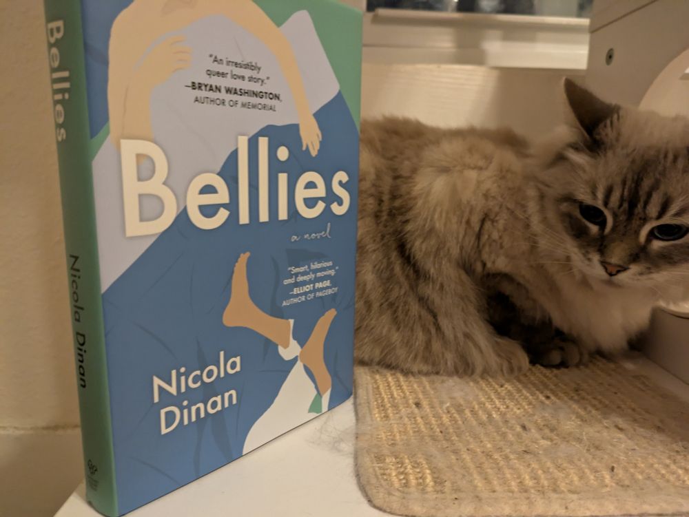 "Bellies" by Nicola Dinan and a cat named Saoirse 