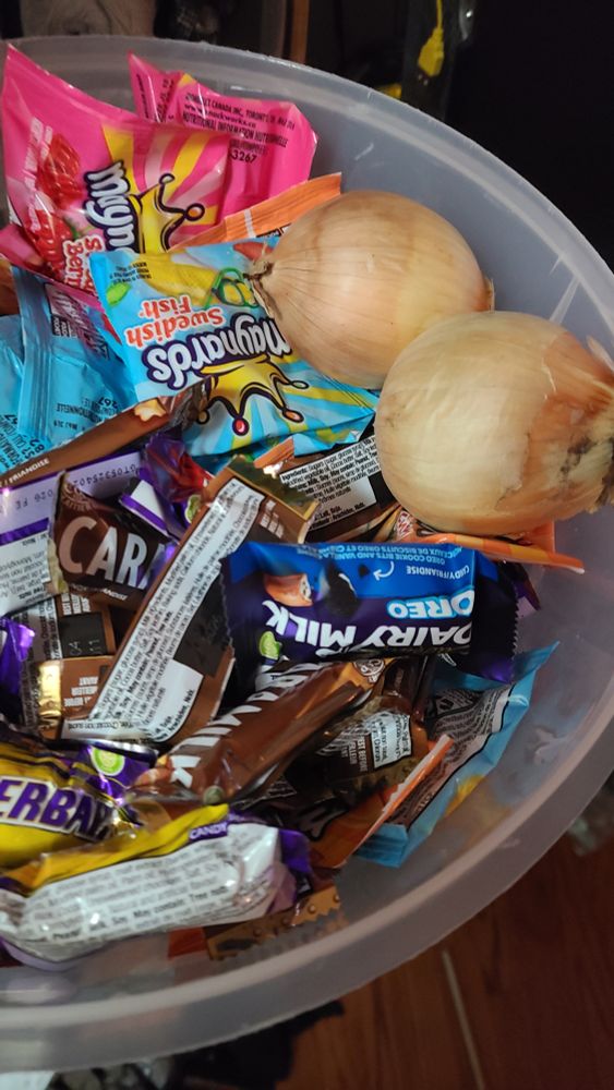 A bowl of treats: small sized Maynard's and Cadbury products. Plus a pair of onions.