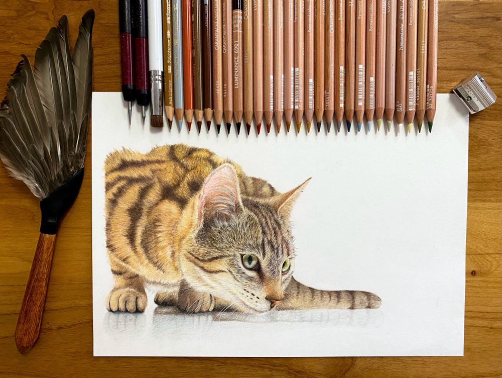 猫さんの絵と、絵に使用した画材です