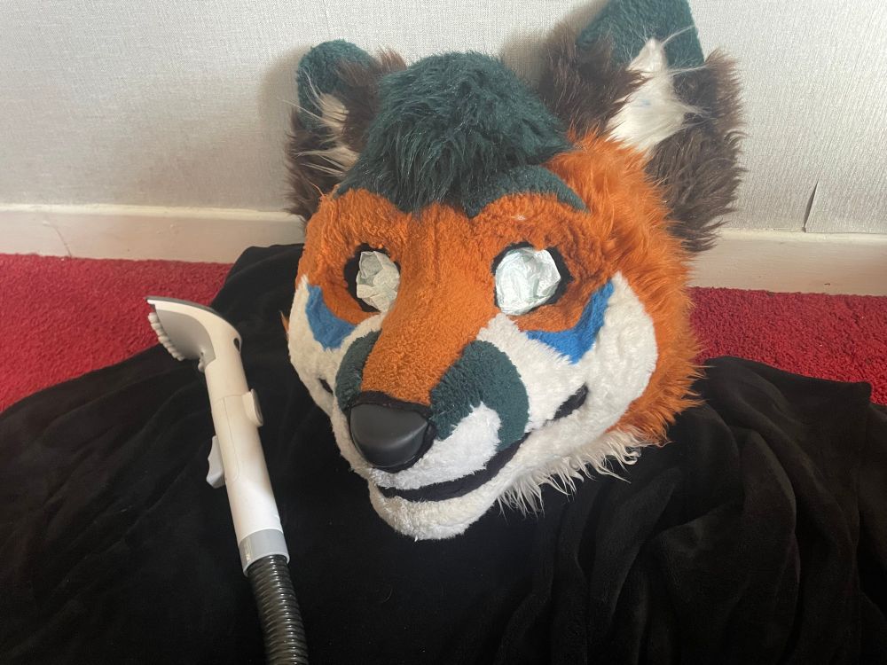 Orange and white fox with tissue in his eyes lays on the ground next to a carpet vacuum, really to be cleaned. 