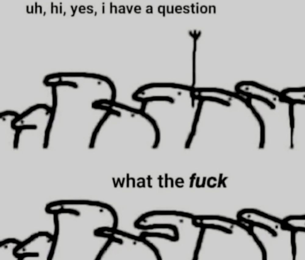 uh, hi, yes, I have a question

A group of cartoon stick people. Cartoon man raises his hand to ask a question.

what the FUCK