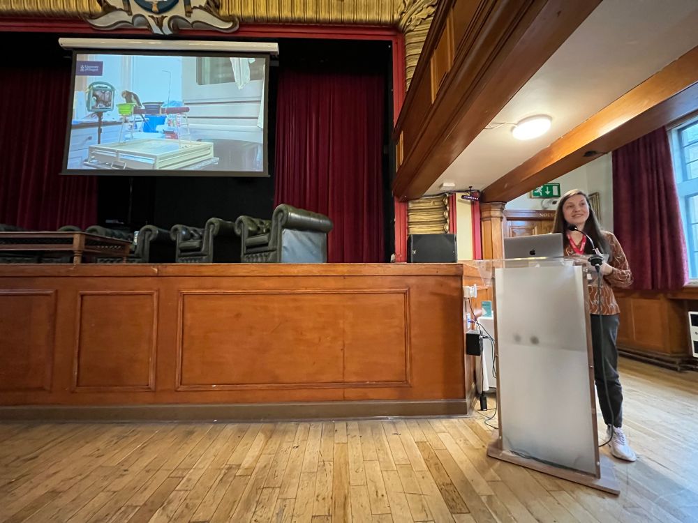 Ilyena speaking at Lovelace. She is showing a video of parrots preening over a video call. 