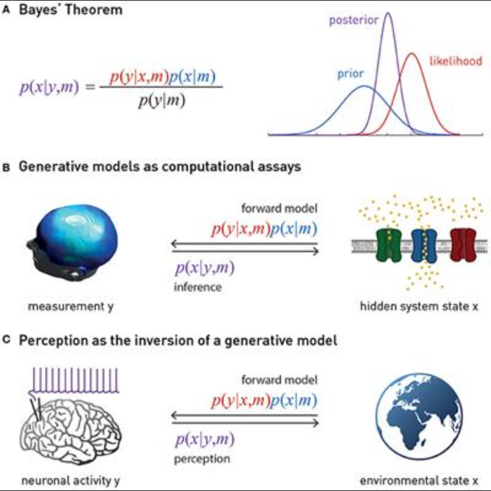 Allostatic Self-efficacy: A Metacognitive Theory of Dyshomeostasis-Induced Fatigue and Depression