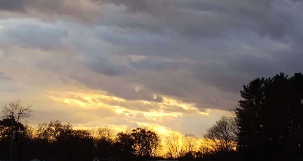 Photo.i took yesterday 11/06/24