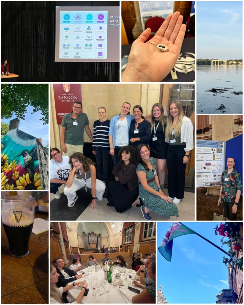 Collage of photos from the European Ornithological Union (EOU) conference 2025. Clockwise from top left: an amazing plenary about robust avian science by Antica Culina with a slide on FAIR data; a tiny solar GPS transmitter, the Menai bridge at sunrise; me and my poster; Welsh flag with bonus Welsh jackdaw; Vogelwarte research group; first Guinness after 2.5 months in Switzerland; cool hummingbird mural on a house; and in the centre: Vogelwarte research group - Team Alpine Swift-Barn Owl-Dipper et al!