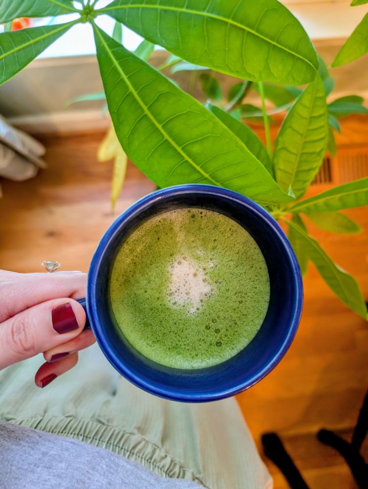 Matcha latte held over a money tree 