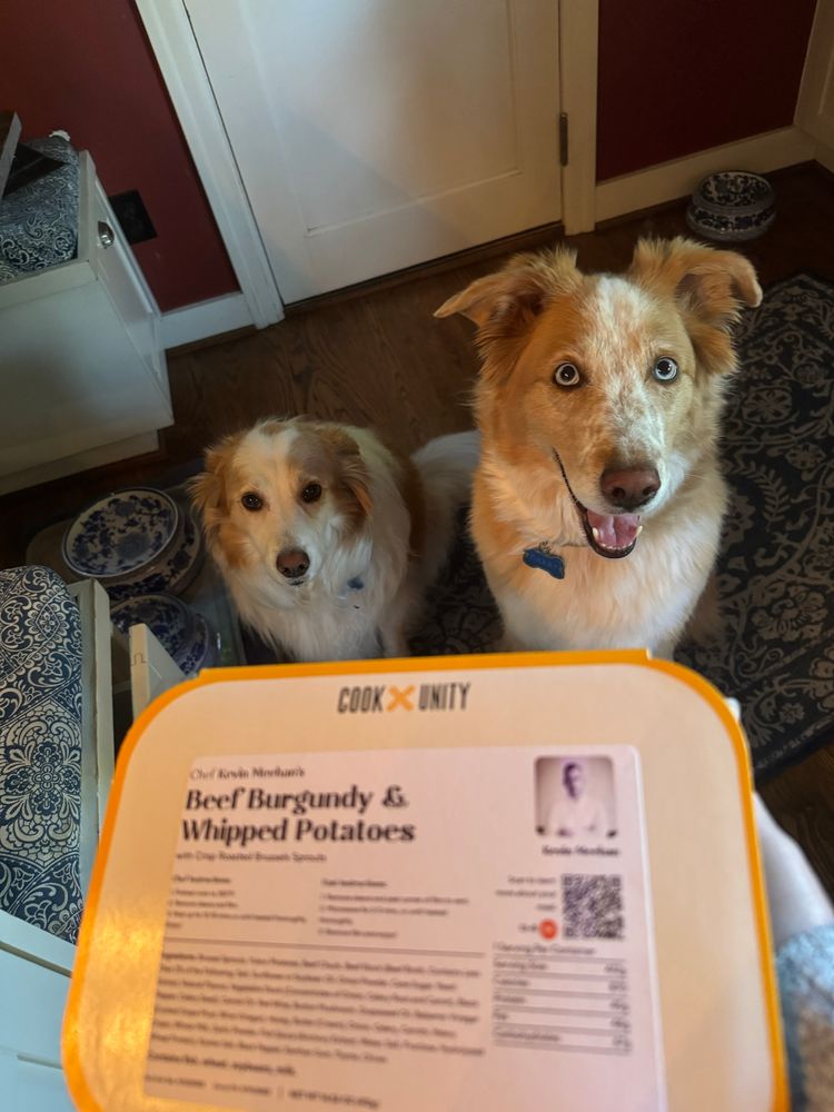 Darby is supportive of my dinner choice. Indy has questions