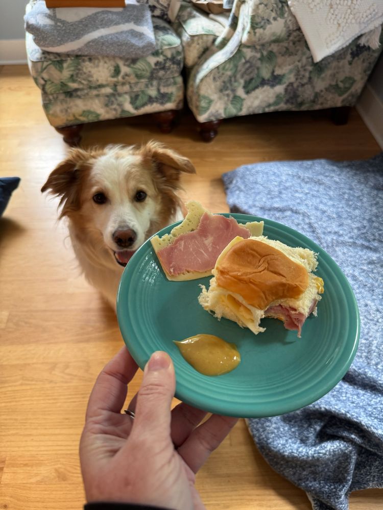 Indy wants to negotiate that the ham and cheese sandwich is hers instead of the side ham and cheese slices. 