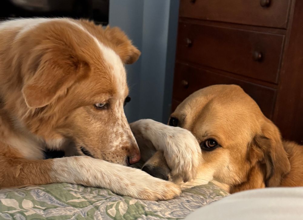 Darby gives McKellan the “paw” 