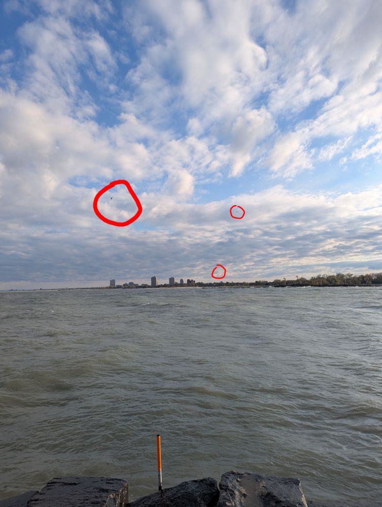 View of the partially cloudy sky and the lake. There are three red circles around the three helicopters that appear in the image.