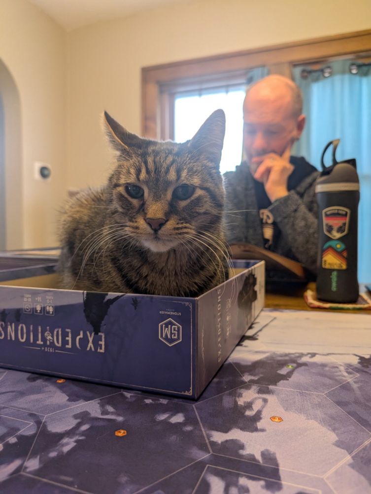 Cat sitting inside the Expeditions boardgame box top.