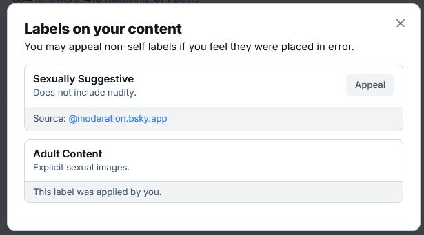 A labels tab on a Bluesky post featuring "sexually suggestive. Does not include nudity" label applied by Bluesky moderation and "Adult content. Explicit sexual images" label applied by the author of the post (myself).