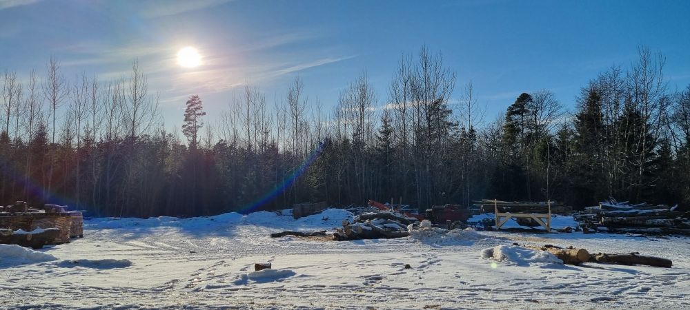 Bilde av en rasteplass og hogstplass i skogen. Det er vinter og knallvær 