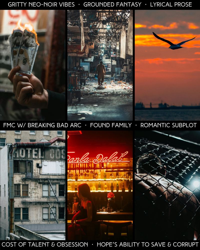 Images: (1) a hand holding burning money (2) a figure walking down a city street filled with litter (3) an albatross flying across an orange sky (4) a crumbling hotel (5) a woman sitting at a red-lit bar (6) a fighter's back against a cage

Text: gritty neo-noir vibes | grounded fantasy | lyrical prose | FMC w/ "Breaking Bad" arc | found family | romantic subplot | cost of talent & obsession | hope's ability to save & corrupt