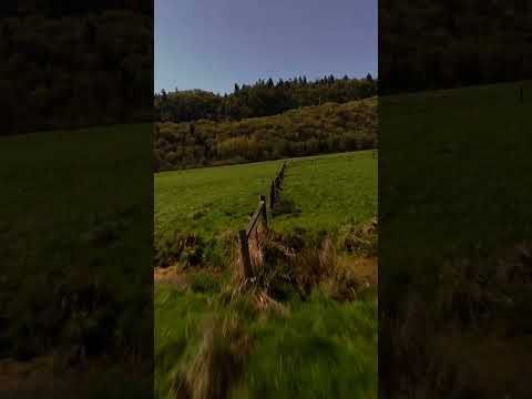 🎥 Skimming Rails, Grass & Trees in Oregon | FPV Near Lewis & Clark Bridge