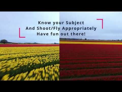 Tulips at 35mph? Yeah… About That | A Visual Cinematic Example of Why High Speeds Aren't Everything