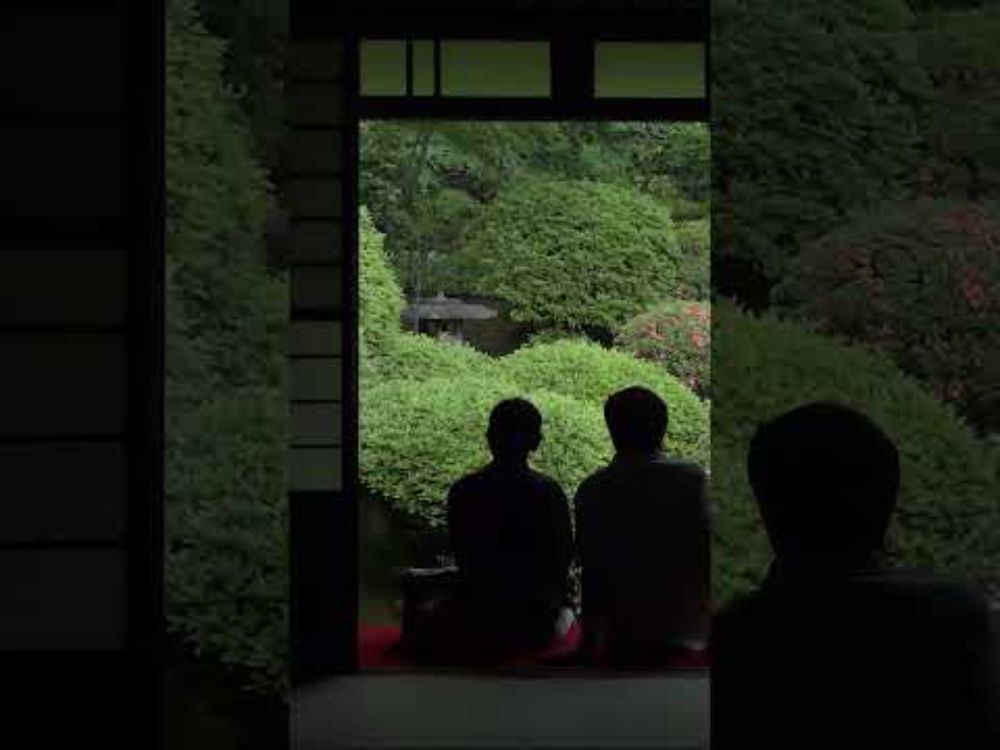 濃緑の京都・哲学の道、安楽寺、法然院、圓光寺(2011年・手振れ注意)　#shorts #kyoto #京都